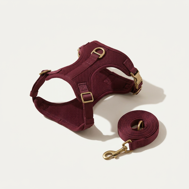 Escape-Proof Cat Harness + Leash