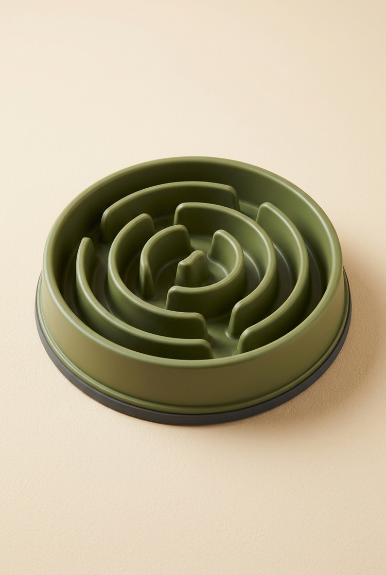 Slow Feeder Dog Bowl – Anti-Gulp